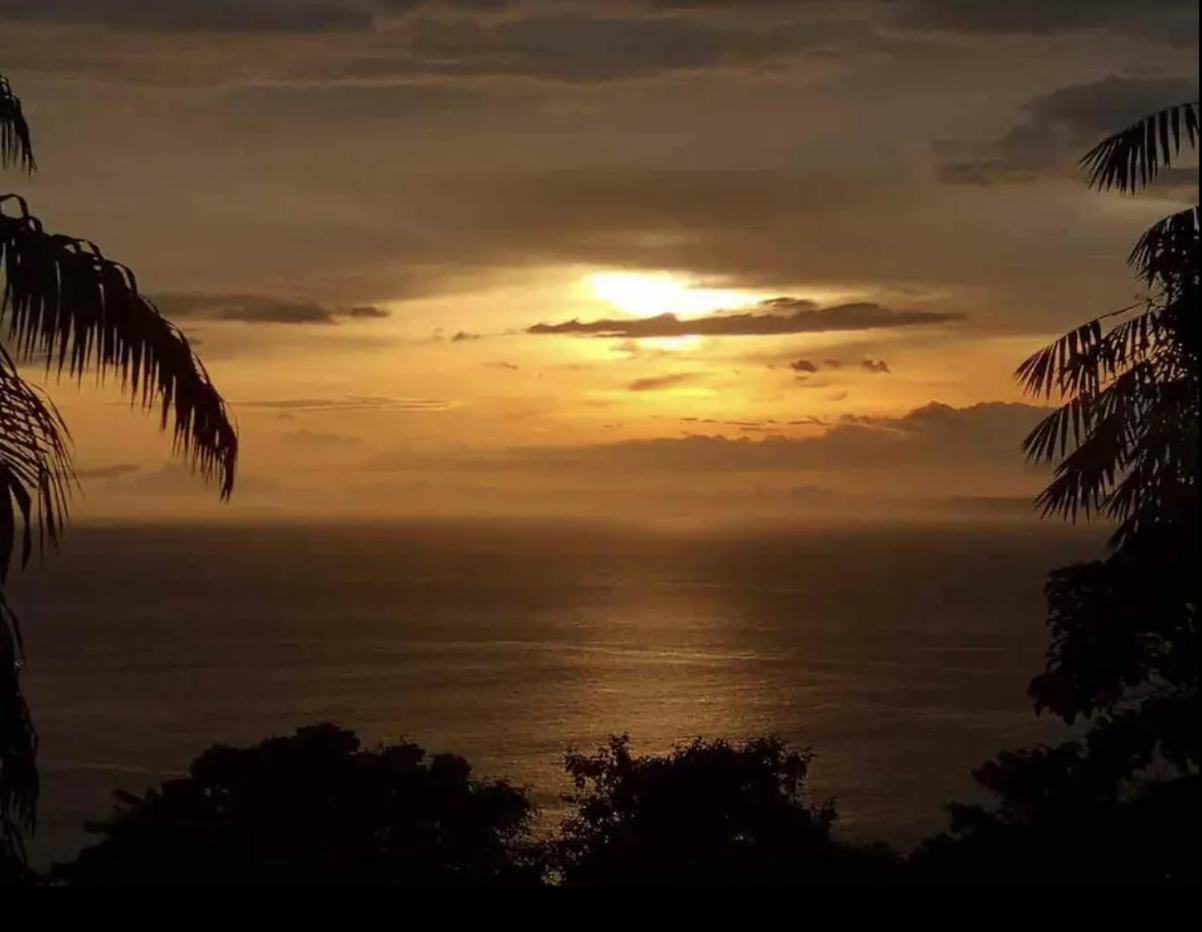 Beautiful Rustic Treehouse Hotel Manuel Antonio Quepos Exterior foto